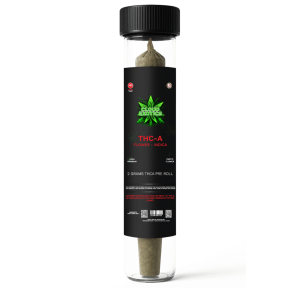 INDICA 2 G